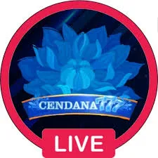 CENDANA777 - Game Bingo Seru dan Menyenangkan